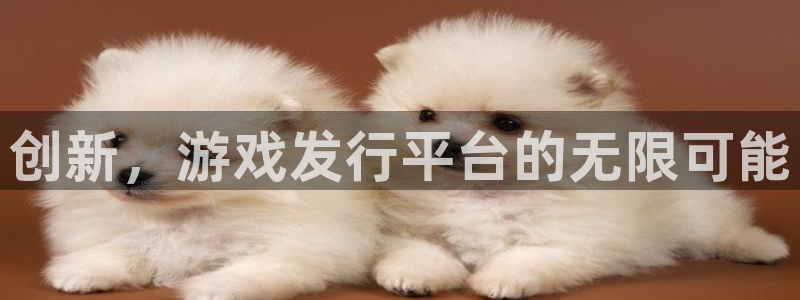 广州火狐电竞app官网电子商务：创新，游戏发行平台的无限可能