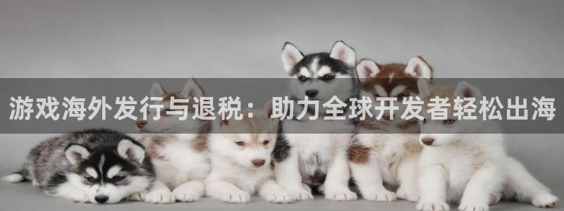 火狐电竞app官网户外：游戏海外发行与退税：助力全球开发者轻松出海
