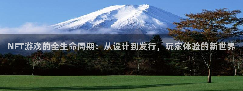 火狐电竞app官网子财经丛书：NFT游戏的全生命周期：从设计到发行，玩家体验的新世界