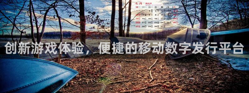 作者火狐电竞app官网子：创新游戏体验，便捷的移动数字发行平台