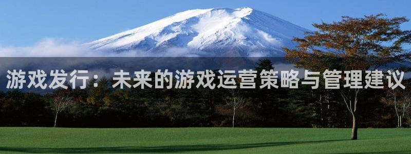 火狐电竞注册地址查询官网：游戏发行：未来的游戏运营策略与管理建议