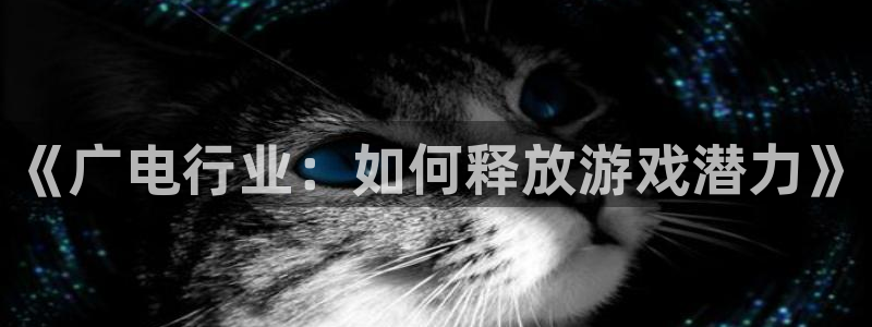 火狐电竞app官网电子商务有限公司：《广电行业：如何释放游戏潜力》