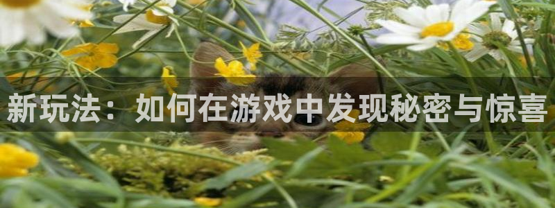 火狐电竞app官网子财经丛书：新玩法：如何在游戏中发现秘密与惊喜