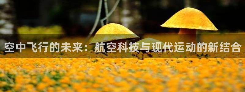 betway西汉姆联官网