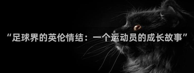 betway西汉姆