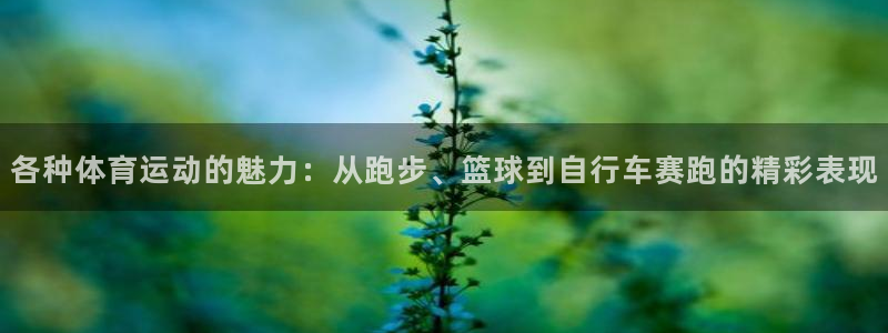 betway西汉姆官网