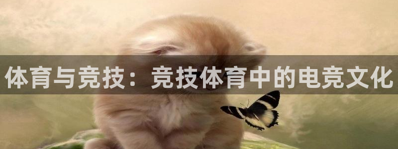 必威betway西汉姆联